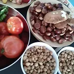 Gite Du Chene Σπίτι διακοπών Ledeuix